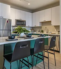 High-end Student Kitchen