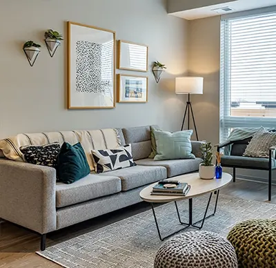 Student 4 Bedroom Apartments