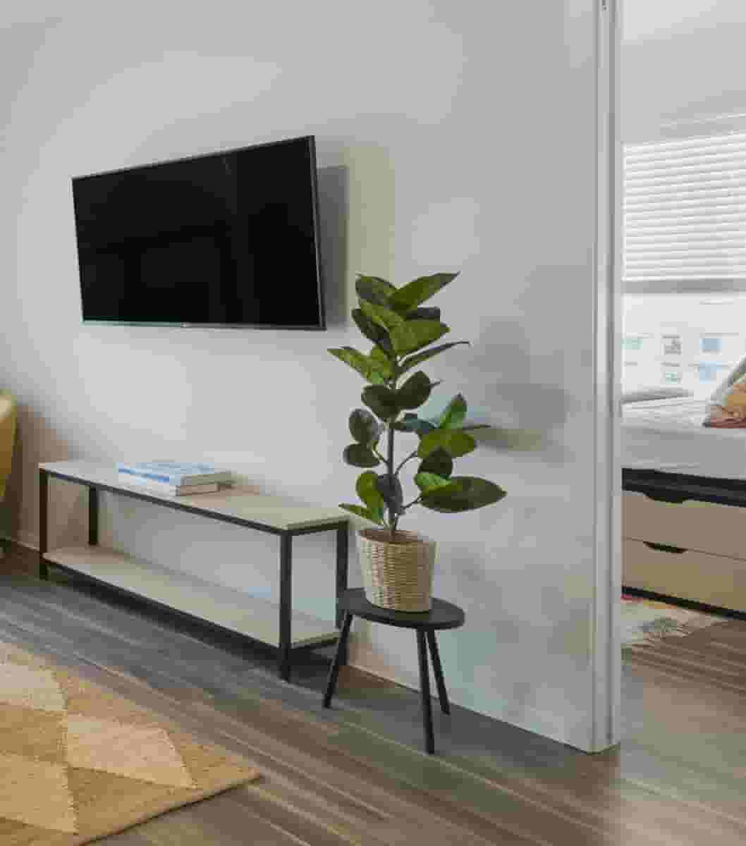 Smart TV in UNCOMMON Dinkytown Living Room