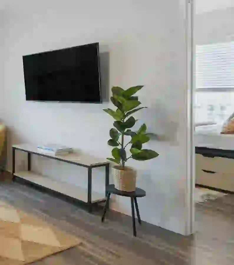 Smart TV in UNCOMMON Dinkytown Living Room